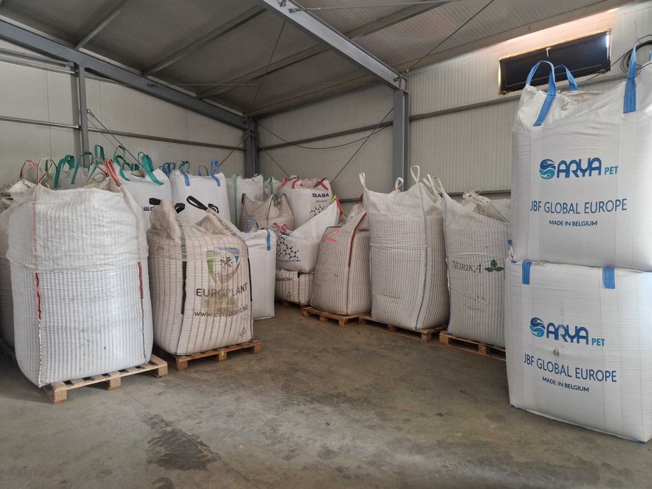 Triticale pentru samanta