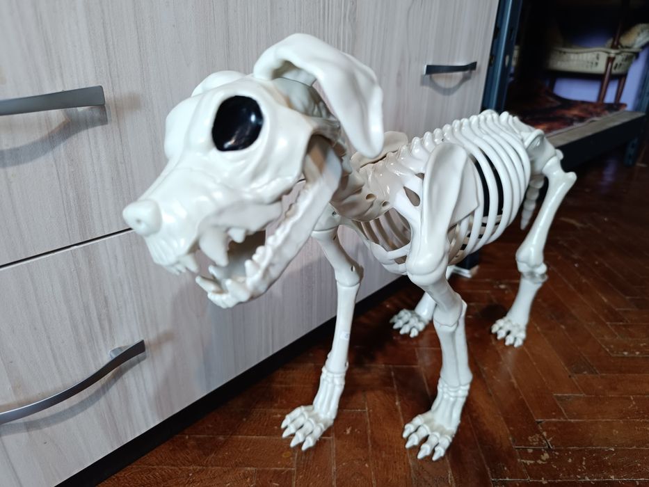 Скелет на голямо куче за Хелоуин