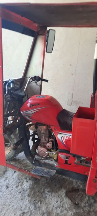 Муравей мотор  лочин