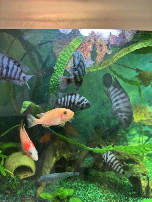 По символической цене!!!