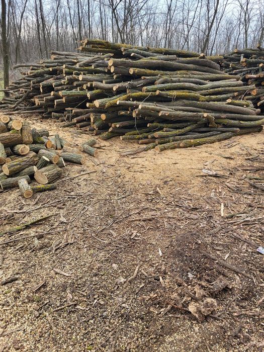 Lemn de foc salcam și stejar