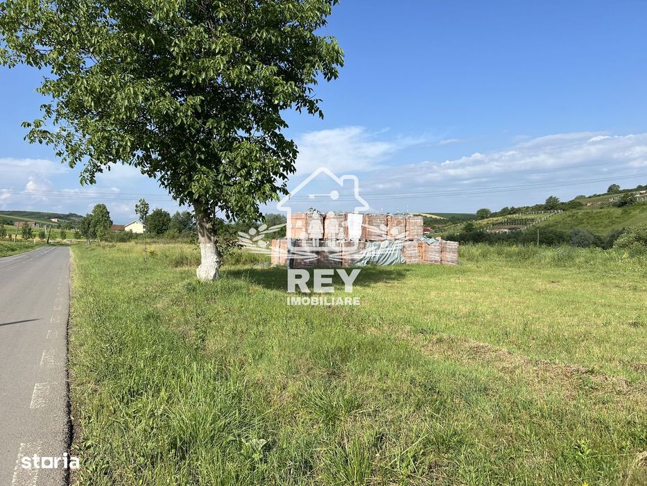 Teren HALA de vanzare iesirea din Sura Mare spre Hamba.