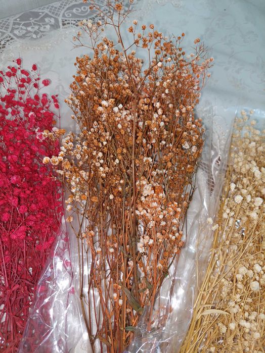 Сухоцветы гипсофила букет