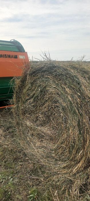 Продам сено с поля