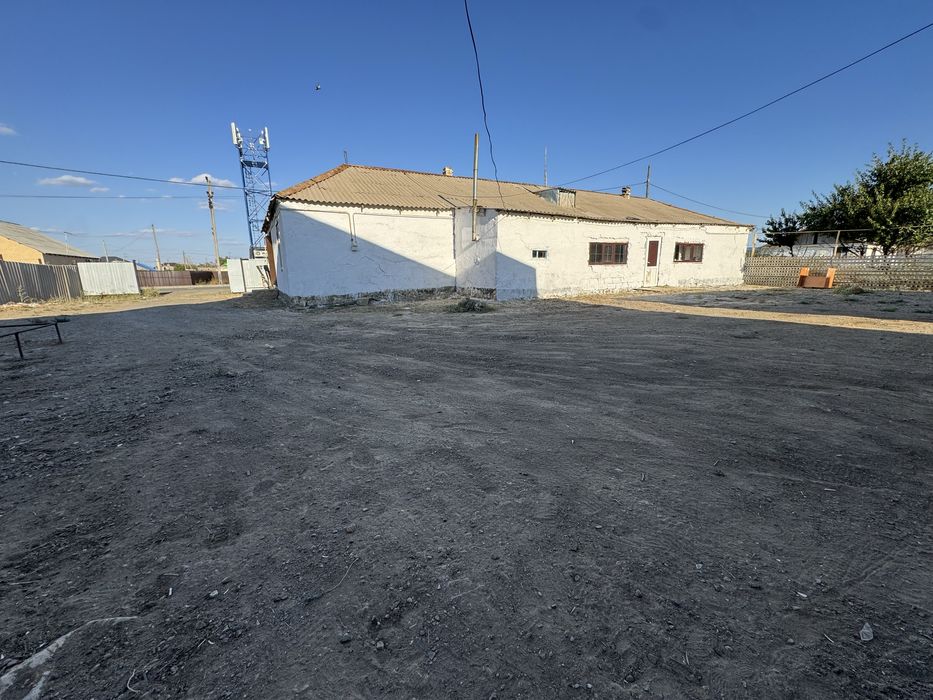 Алмалыдан уй сатылады!