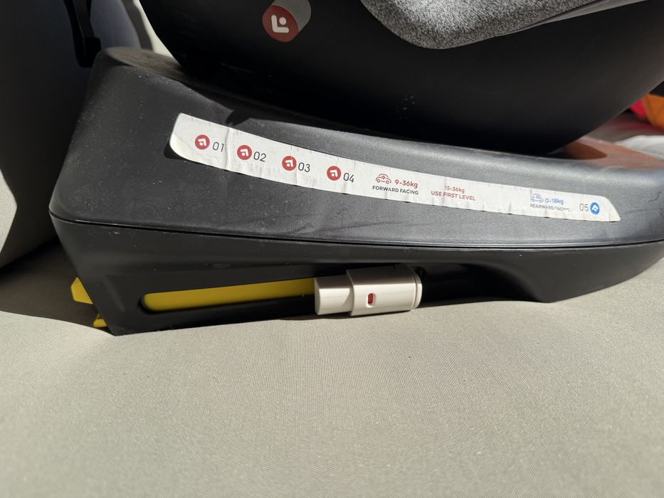 Vand scaun auto Coccolle,  ISOFIX 0–36 kg, 0–12 ani, Top Tether