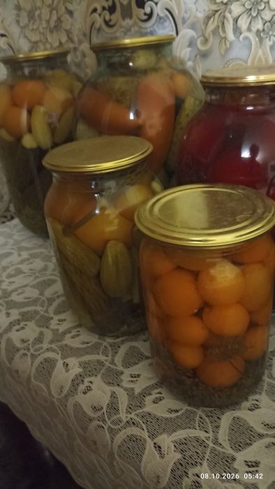 Соленья домашнее