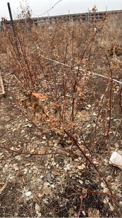 Продам 10 соток земли