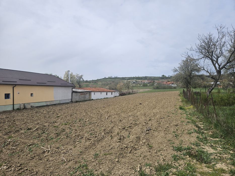 Vând teren intravilan în Petrani, 8 km de Beius, jud. Bihor