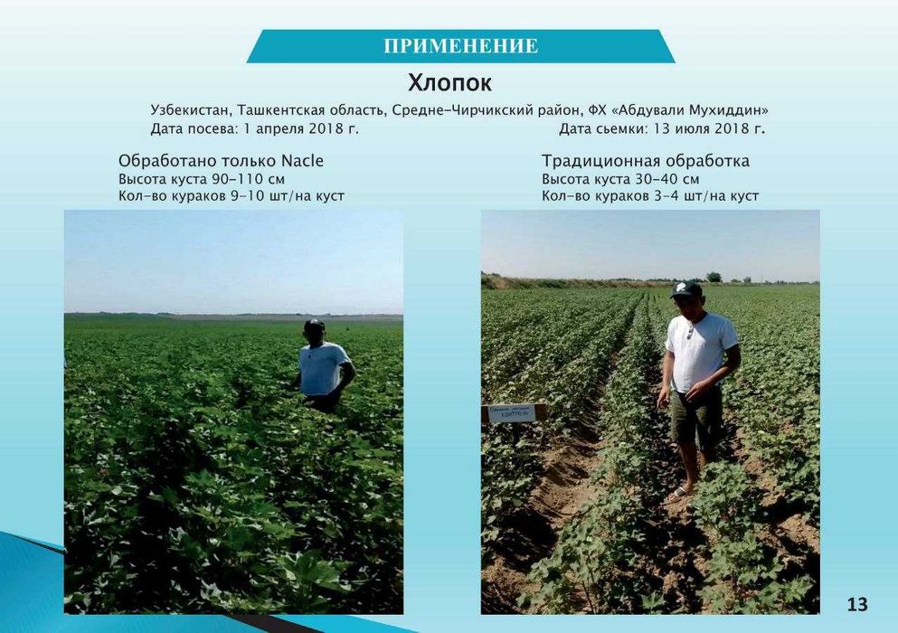 Минерал Угит Химиясиз