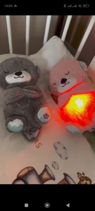 Ayiqcha Trendagi Ajoyib sovĝa!