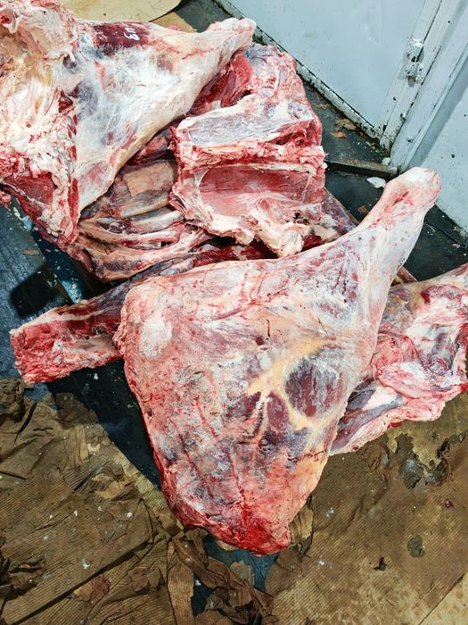 Мясо говядины конины