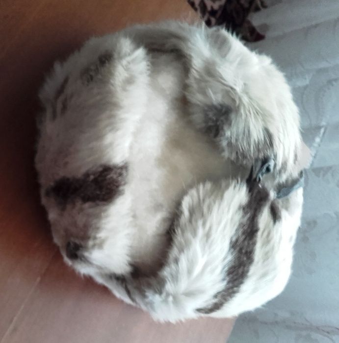 caciula alb-negru, blana iepure, pentru copii