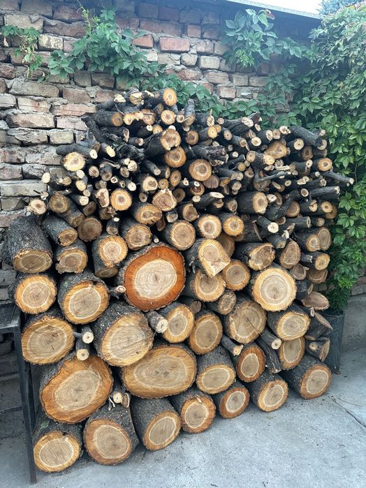 Дрова фруктовые (урюк)