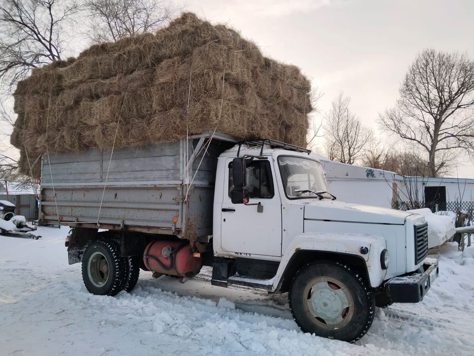 Шөп сено сатылады