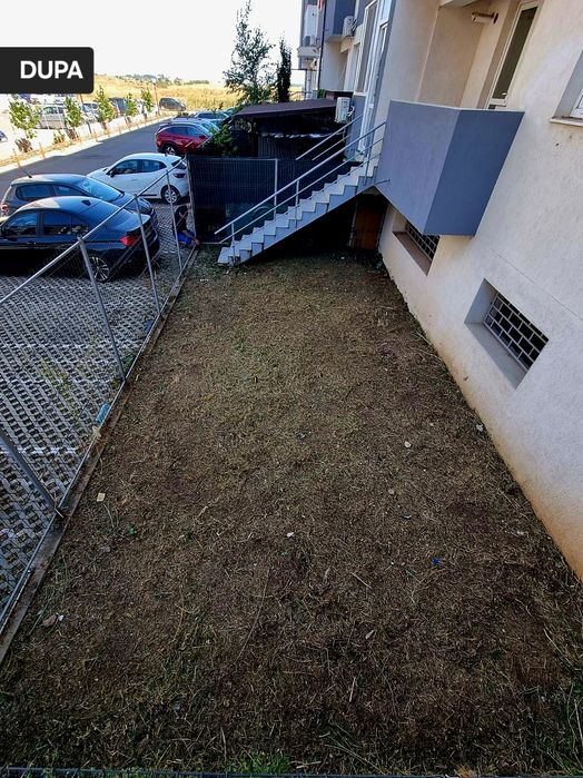 Servicii de taiat arbori,gazon,defrisari,erbicidat.Curățat terenuri