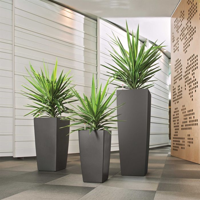 Живые цветы ! Аренда на мероприятия