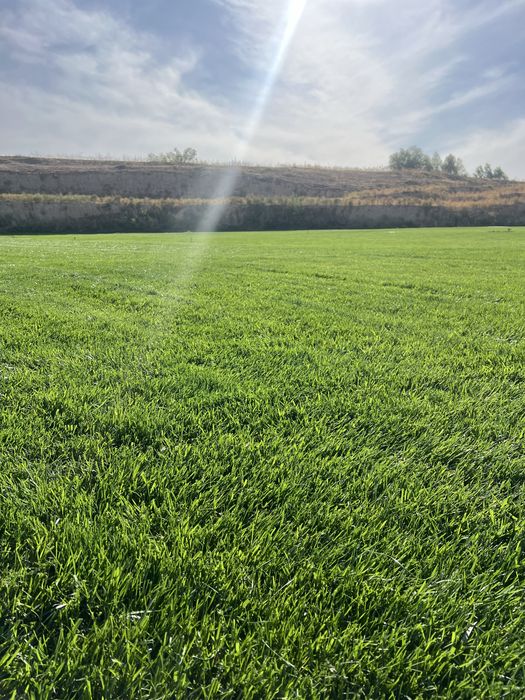 Gazo’n o’ptom cheklanmagan miqdorda