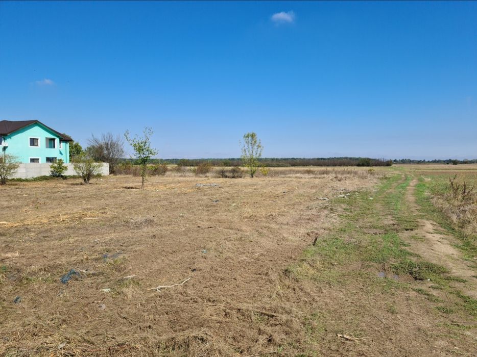 Vand 1000 mp teren Copaceni Ilfov