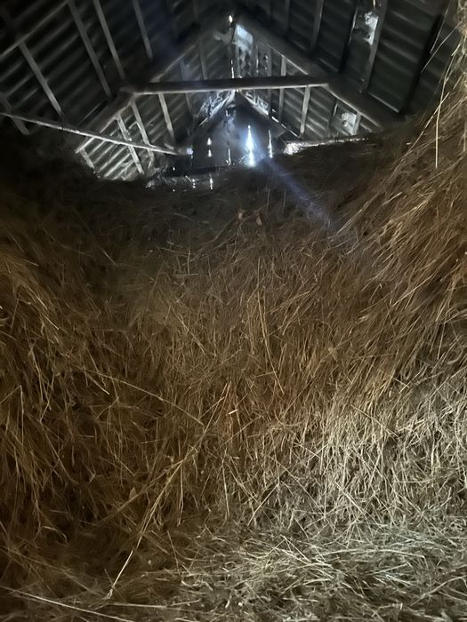 Vand fan calitate foarte buna !! Sunati doar daca va intereseaza