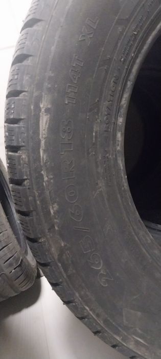 Шины зимние  продам