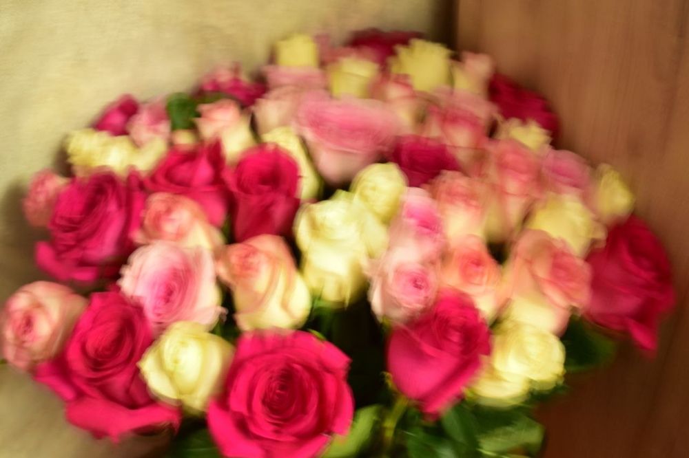 51роза 20мыңға алынған новый