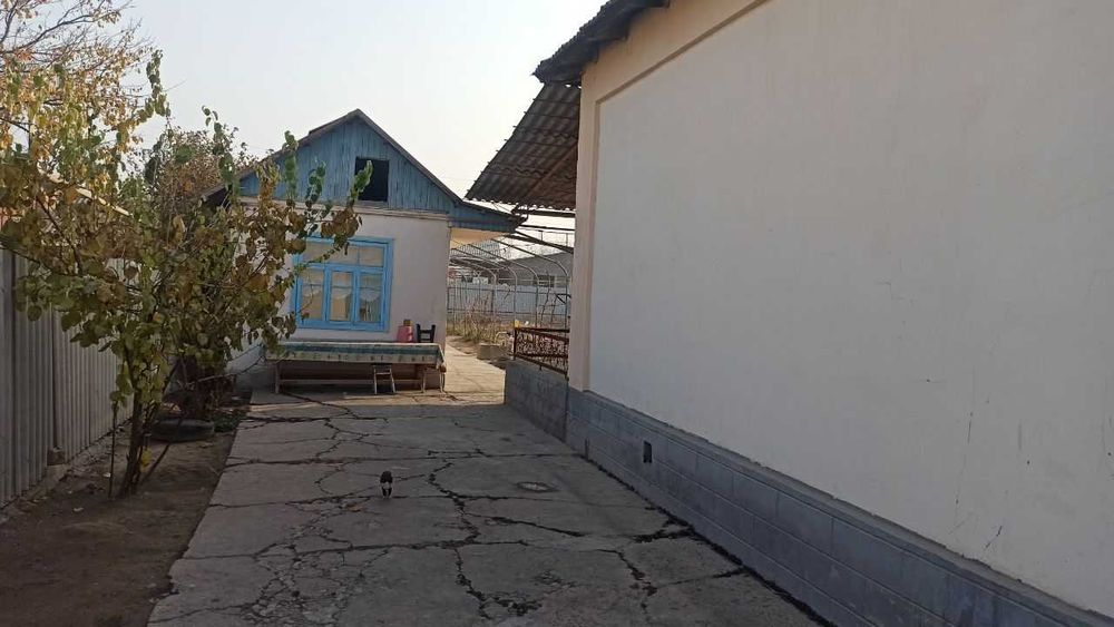 Продается дом в области