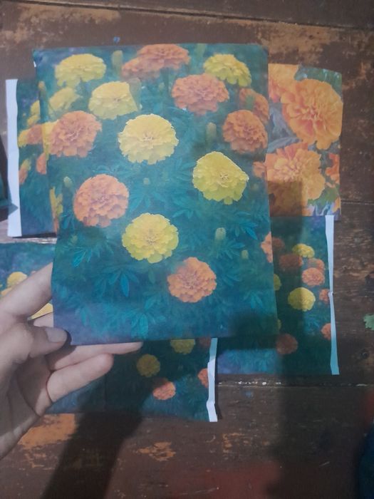 Shafran urug' / tagetes urug' / petunia urug'