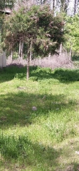СРОЧНО Продаётся участок 6 соток 3 комнаты в бектемирском районе