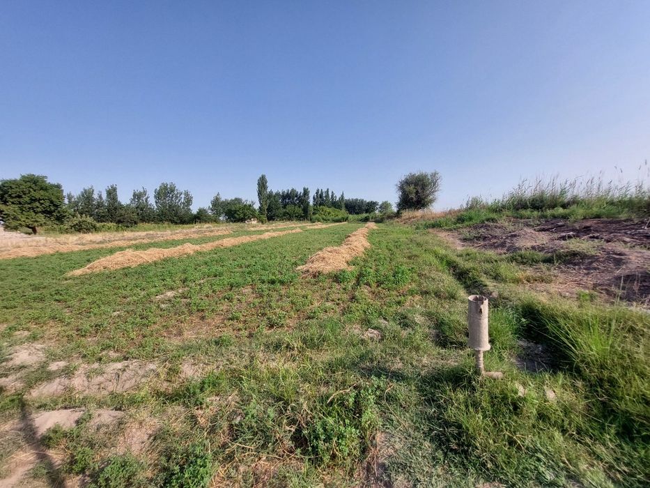 Продаётся участок. В Бекабадском районе Мавлянов