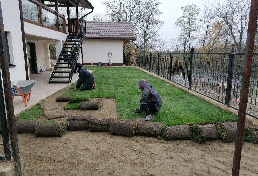 Gazon rulou 24 de lei metru pătrat, transport și montaj inclus în preț