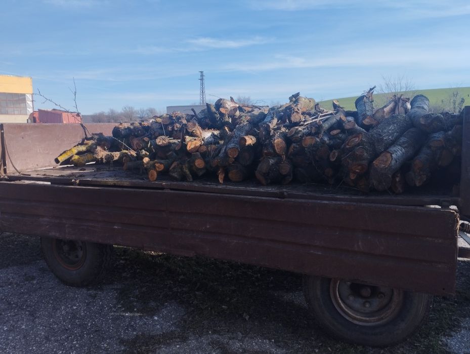 Дърва от развалена сливова градина