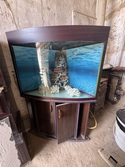 Akvarium sotladi hama narsasi bor kamplekt