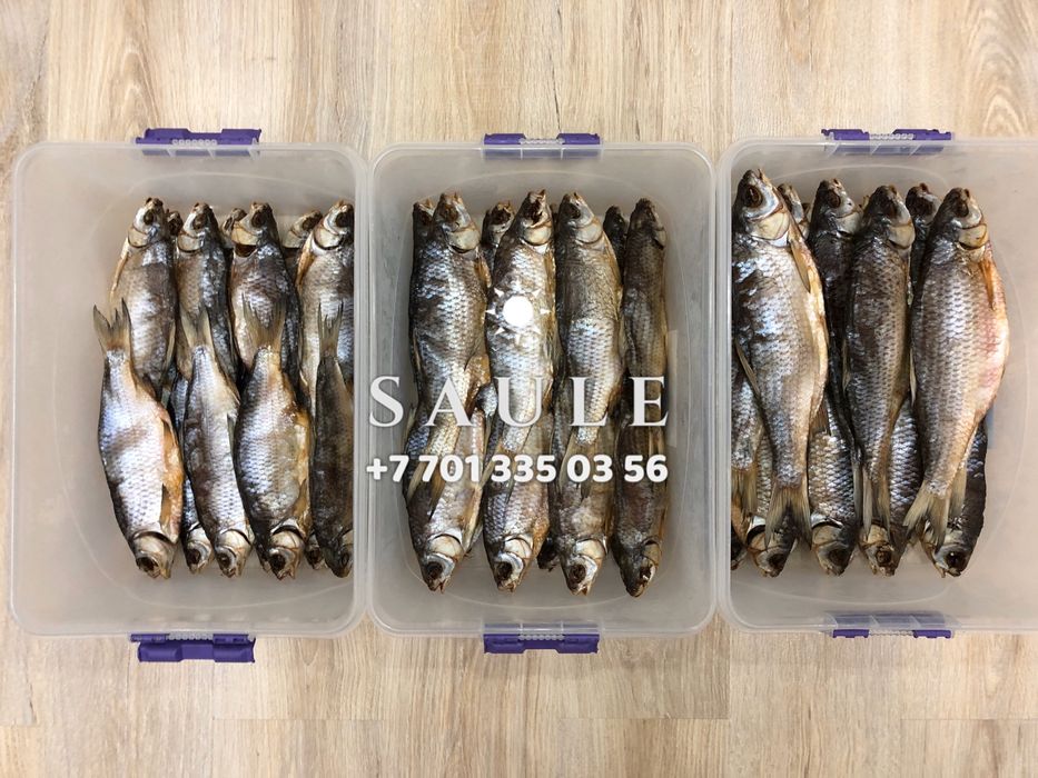 Свежая вяленая вобла