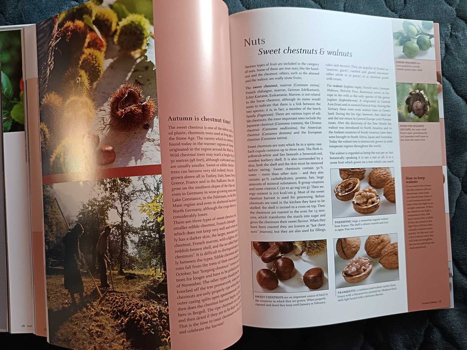 Fruit and Vegetables