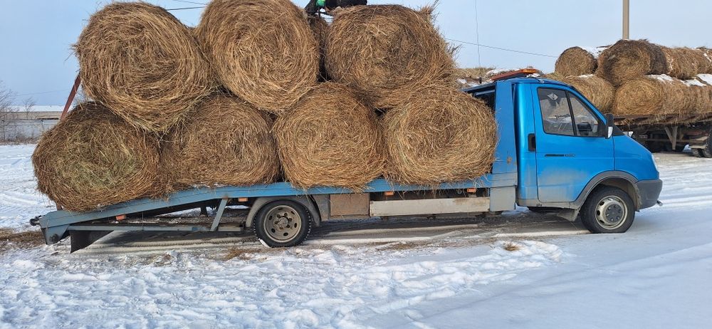Продам сено разнотравие