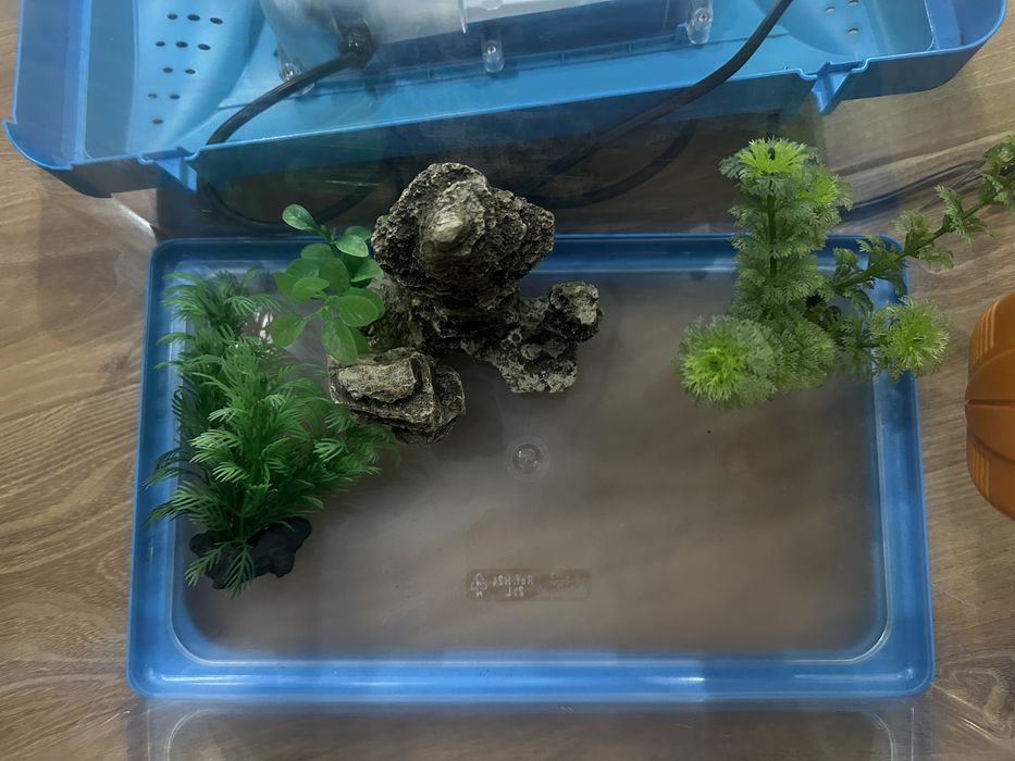 Vand Acvariu Ferplast Capri Junior