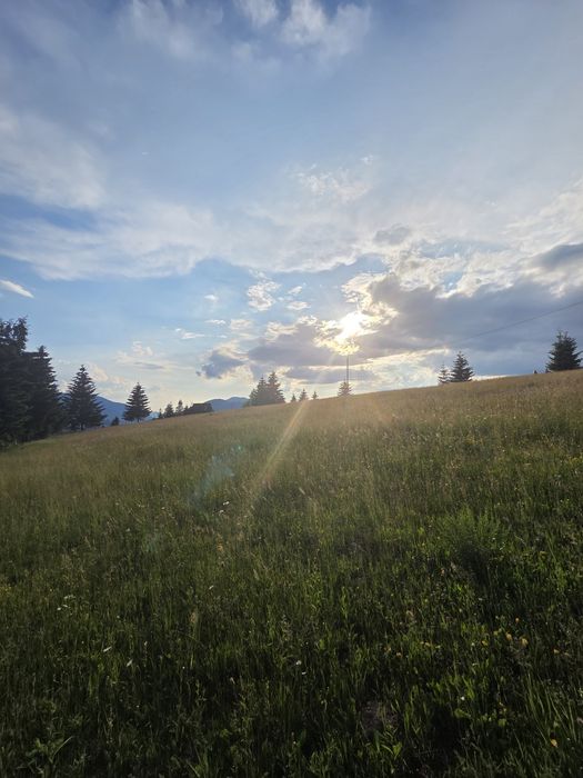 Teren Piatra Fantanele .