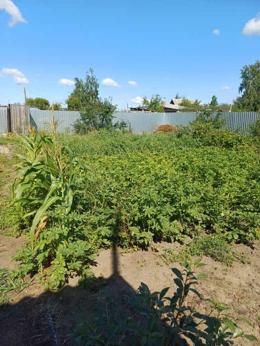 Продам дачу. Мелиоратор