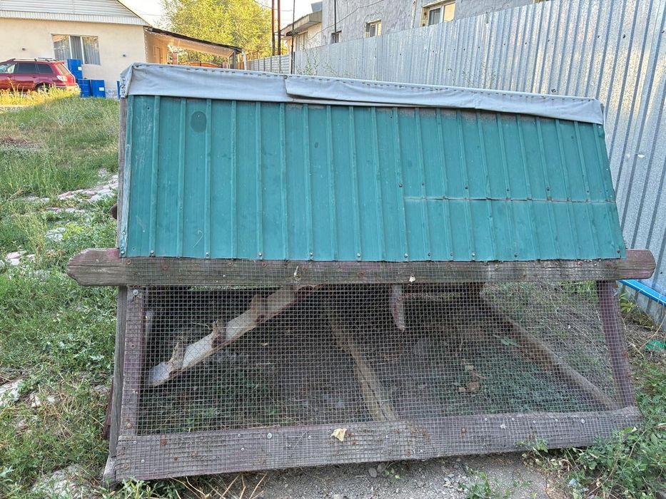 Курятник с мансардой