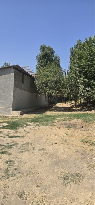 Янгийул Тумани Мол бозор ёнида Мол Фирма сотилади