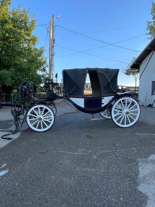 Vând trasura evenimente