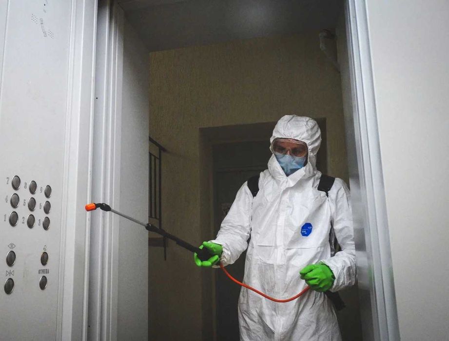 Дезинфекция клопов дезинфекция от клопов dezinfeksiya Tashkent klapa