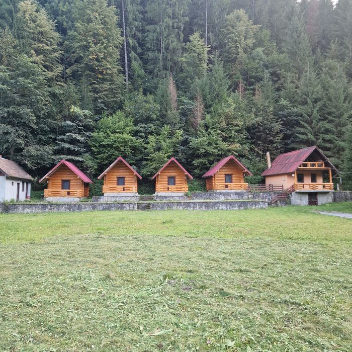 De vânzare teren cu păstrăvărie si căsuțe