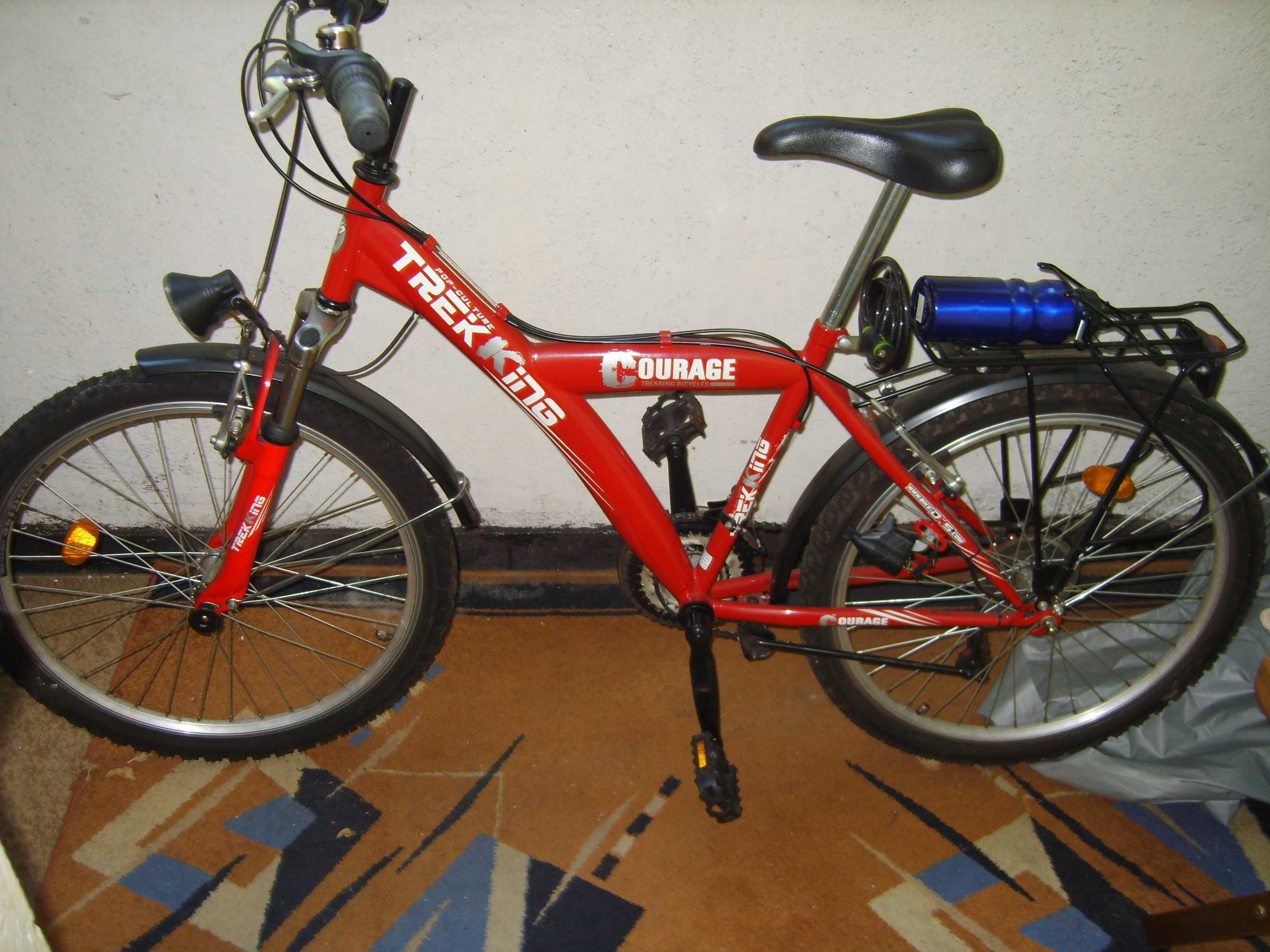 Bicicleta discount trekking trek