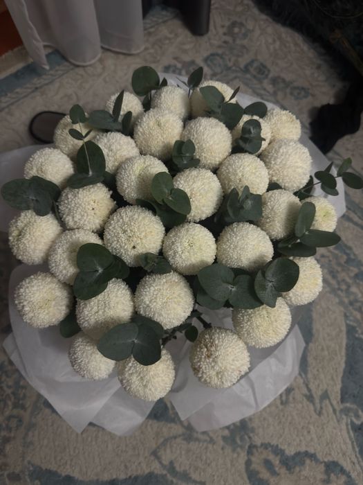 Букет момоко свежии сегод