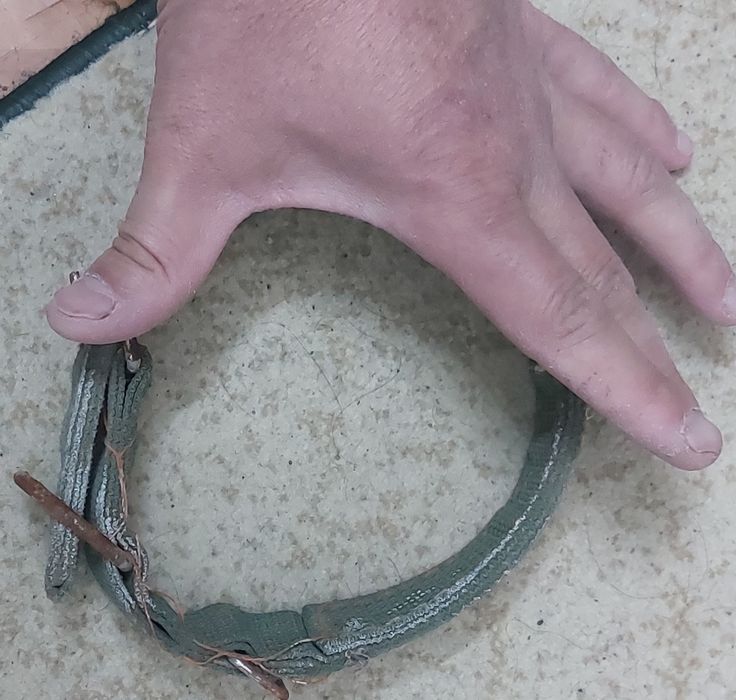 Новый Ошейник для собаки средний.