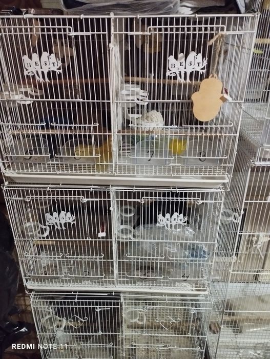 Кушлар учун кафас сотилади. Ахволи Зур  Зур.