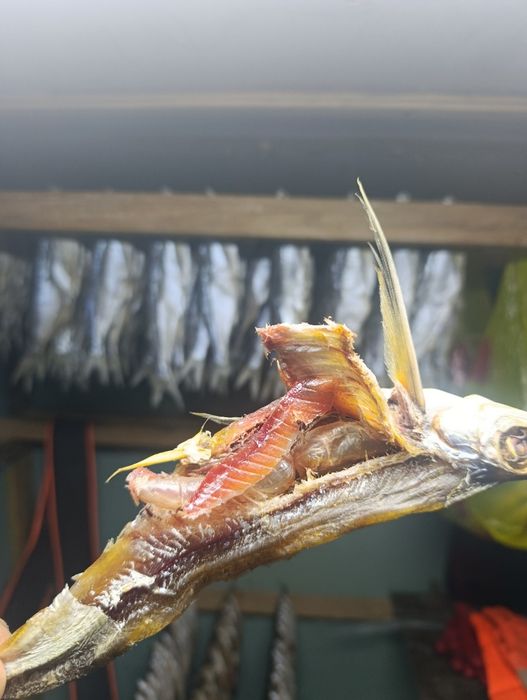 Вялиная рыба чяхон