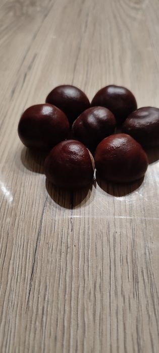 Каштан конский..